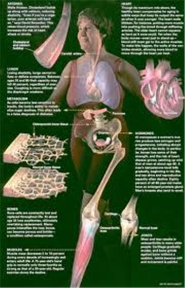 4876 2 BoPhanConNgLaoHoaNCaliST