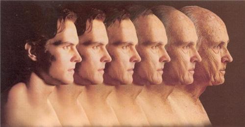 4876 3 BoPhanLaoHoaNCaliST