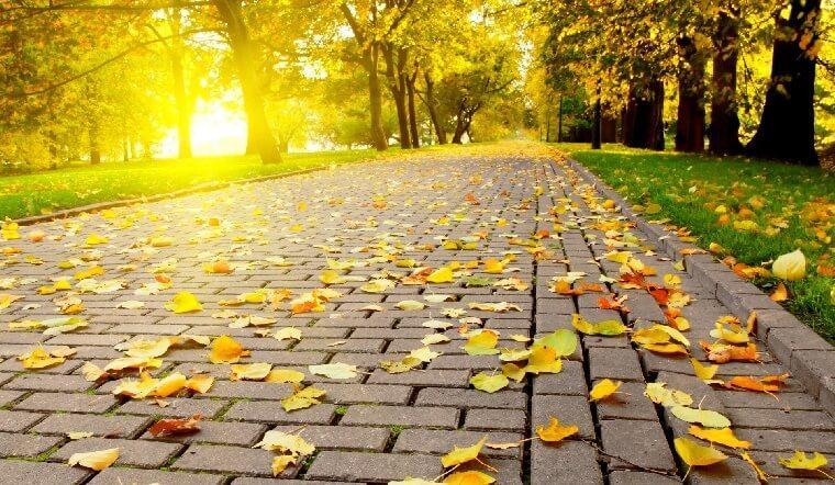 5658 2 MaiToiDiNVThang