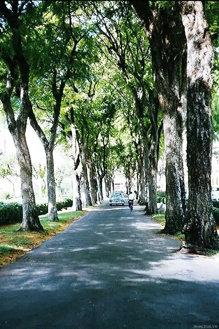 5630 5 OiSaiGonLMDuc